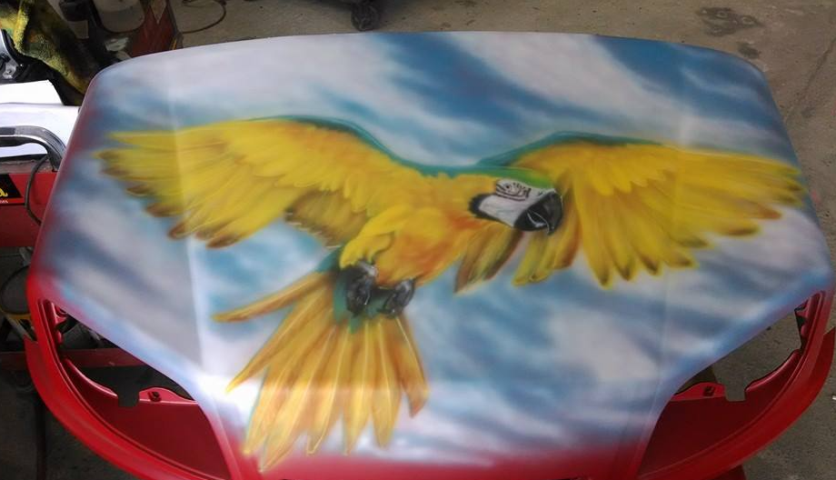 Yellow Macaw Hood Mural